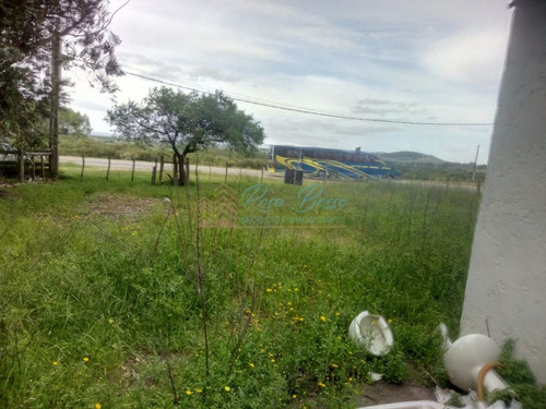 Imagen 6 de 13 de Chacra A 15 Minutos Punta Ballena. - Maldonado