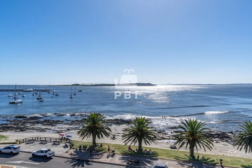 Penthouse En Venta, 3 Dormitorios, Puerto De Punta Del Este. - Espigón Aloha - Ref : Pbi13511