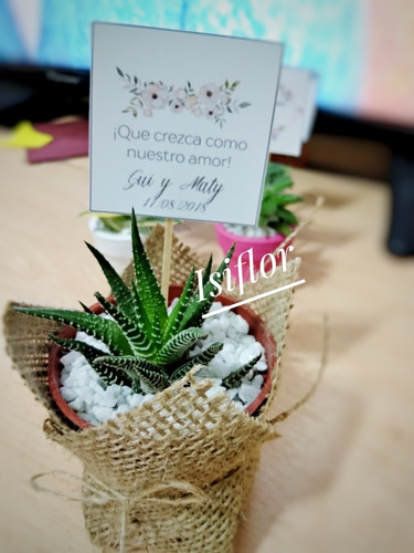 Imagen 2 de 11 de 10 Mini Cactus Suculentas Souvenir Eventos Cumple Isiflor