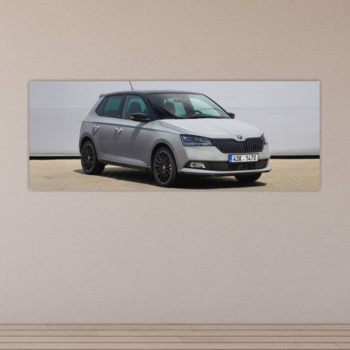 Cuadro 30x80cm Auto 2018 Skoda Fabia Monte Carlo 341