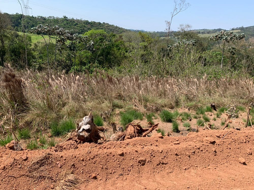 Imagem 6 de 12 de T.e - Terreno Invista Na Sua Família