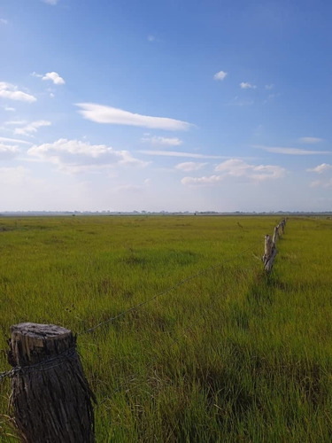 Imagen 9 de 15 de Se Vende Finca Via Al Sur Ve02-1303vs-dfer
