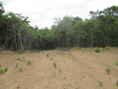 Imagem 1 de 15 de Terreno Para Venda Em Esmeraldas, Floresta Encantada - T23_1-1019445