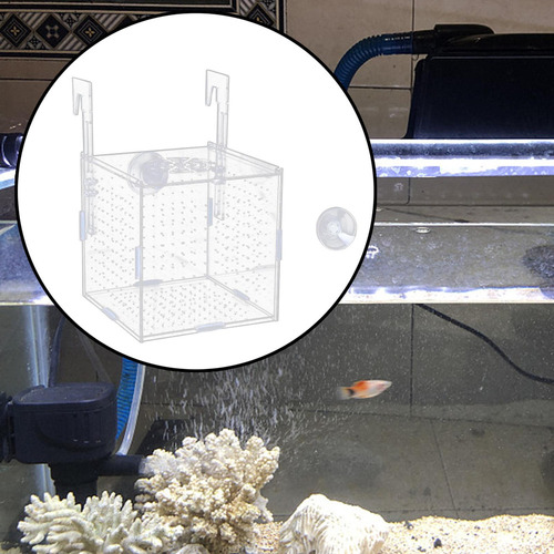 Nuevo Acuario Caja De Aislamiento De Alevines For Guppy