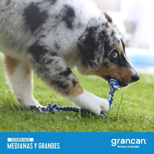 Croqueta Grancan Cachorro Razas Medianas Y Grandes 20 Kg