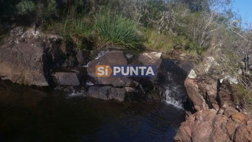 Imagen 3 de 13 de Chacras En Ruta 39 Próximas A Aigua.