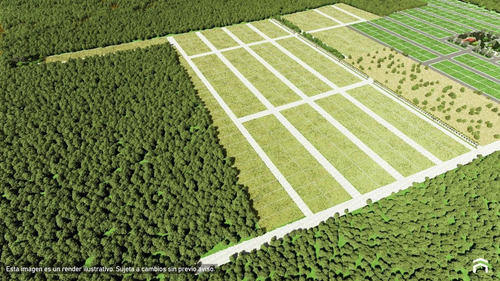 Imagen 9 de 13 de Terreno - Dzidzantún