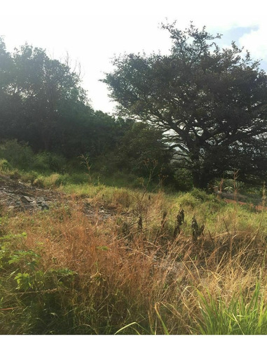 Imagen 8 de 14 de Terreno En Uninajab A Un Lado De La Zona Turística Con Vista