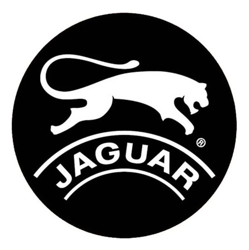 Zapatilla Sneakers Jaguar Hombre Deportiva Urbana Livianas
