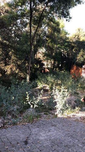 Imagen 2 de 3 de Terreno En Privada Lomas Altas