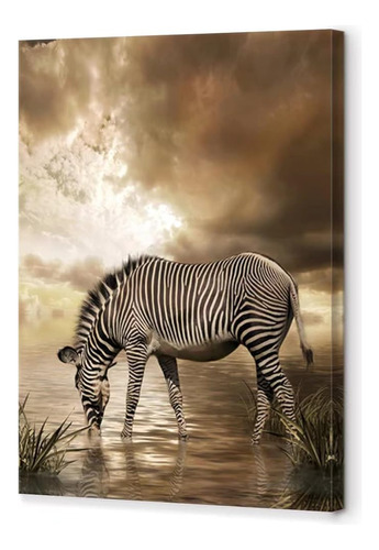 Bwspace Zebra Lienzo Arte De La Pared Vida Silvestre African