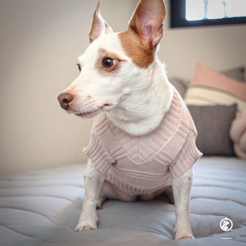 Roupa De Tricô Gola V Rosa Para Cachorro Médio - Xgg