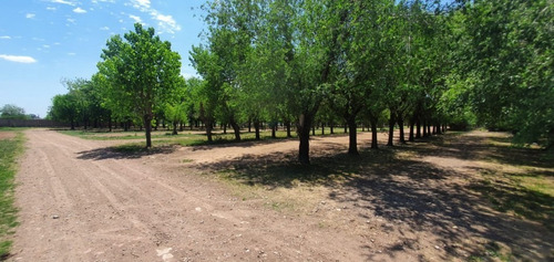 Imagen 6 de 27 de Venta Lotes Los Fresnos Barrio Cerrado Privado, Virrey Del Pino, La Matanza