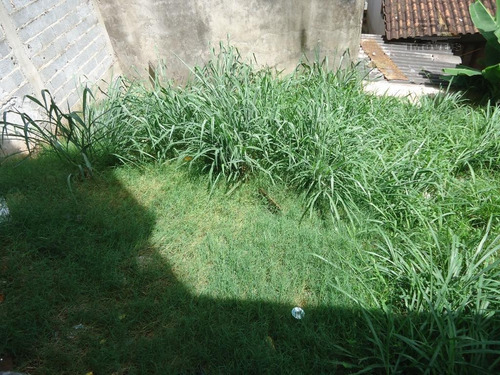 Imagem 11 de 30 de Sobrado Residencial À Venda, Parque Rodrigo Barreto, Arujá - So0212. - So0212
