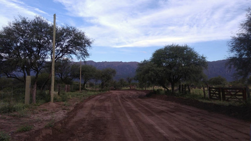 Chacra En Carpintería