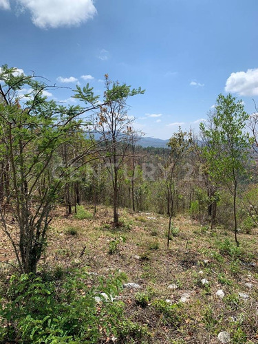 Terreno En Venta, Colonia La Candelaria, Comunidad El Manzanillo, San Cristobal