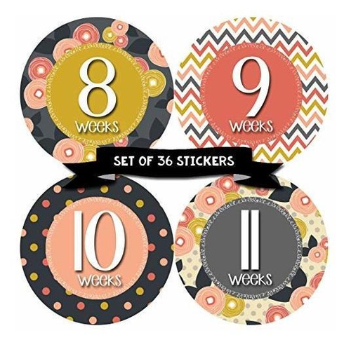 Months In Motion Pregnancy Weekly Belly Growth Stickers - We