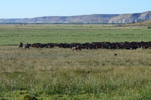 Estancia Manantiales De Collón Cura - Patagonia Argentina