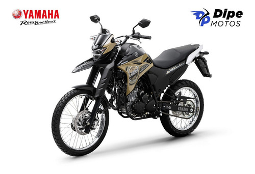 Imagem 5 de 5 de Yamaha Xtz 250 Lander Abs 2022 - Dipe Motos