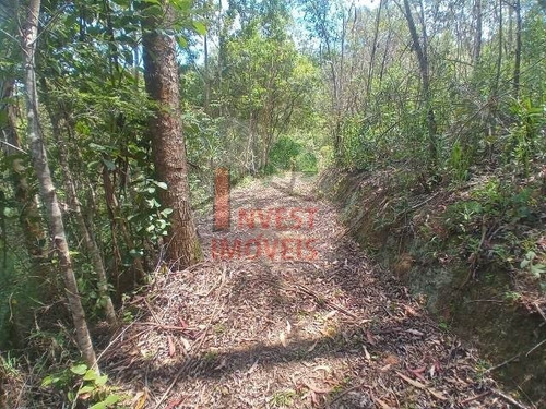 Imagem 14 de 15 de Chacara - Ref: 6855 - V-6855