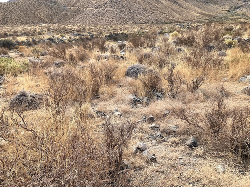 Terreno En Valle Del Elqui Ruta Antakari