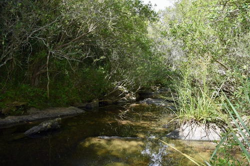 Imagen 1 de 7 de Venta Chacra Sierras De Minas Arroyo 13 Has