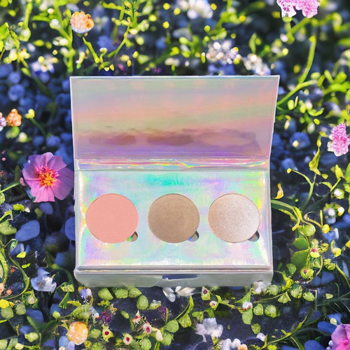 Paleta De Sombras Piel Abc Maquillaje Regina