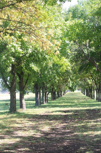 Imagen 1 de 30 de Terreno Lote En Venta Ubicado En Zelaya, Pilar, G.b.a. Zona Norte