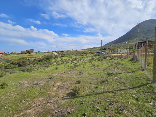 Terreno 5000 Mts.2 Quilimari 4ta Region , Pichidangui.