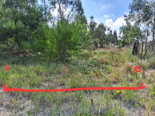Terreno En La Esmeralda M325 S8 En La Esmeralda