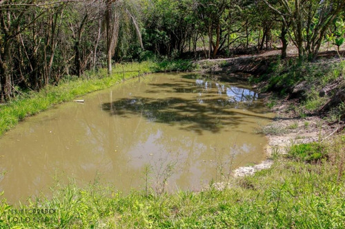 Imagem 29 de 30 de Chácara Com 2 Dormitórios À Venda, 30 M² Por R$ 650.000 - Porangaba - Porangaba/sp - Ch0009
