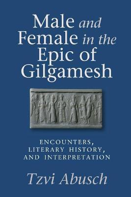 Libro Male And Female In The Epic Of Gilgamesh - Tzvi Abu...