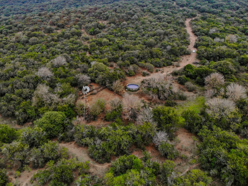 Campo De 200 Hectareas En Argentina, Cordoba. Villa De Dique
