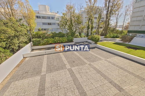 Imagen 7 de 14 de Apartamento En Venta - Península