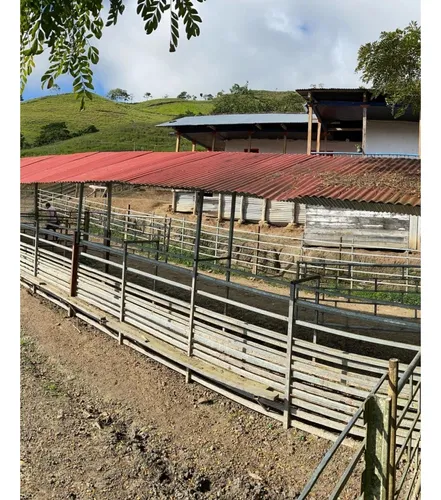 Se Vende Finca Naranjal - Roldanillo 