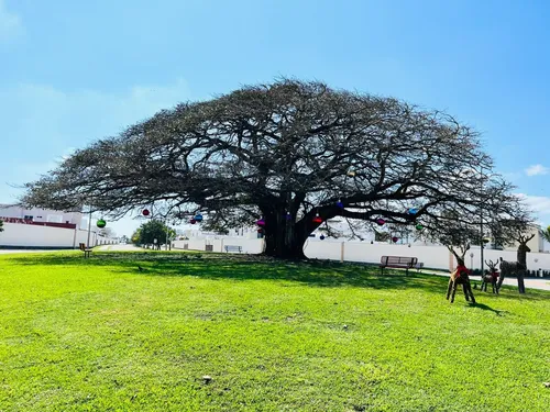 Casa En Venta En Veracruz Fracc. Loma De La Rioja Riviera Veracruzana.