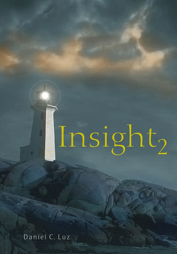 Insight 2: Insight 2, De Luz, Daniel C.. Editora Dvs, Capa Mole Em Português