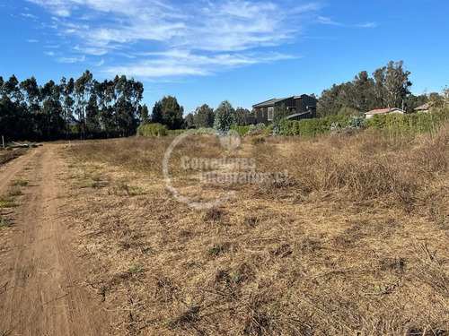 Sitio En Venta En Santo Domingo