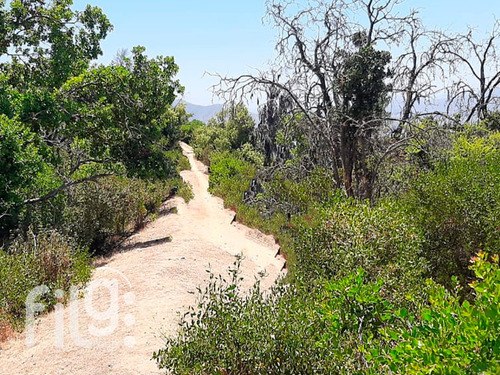 Oportunidad Vendo Gran Terreno En Culipran Melipilla