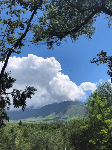 Casa De Campo Y Parque. Lugar Único En Tafí Del Valle
