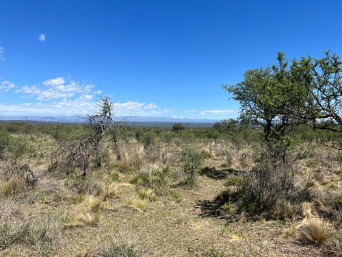 Venta Campo Villa Quillinzo (40 Hectareas) Ideal Para Loteo
