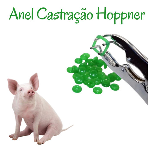 Imagem 2 de 4 de Anel Elástico Castração Porcos Ovinos Latex Hoppner 100 Unid