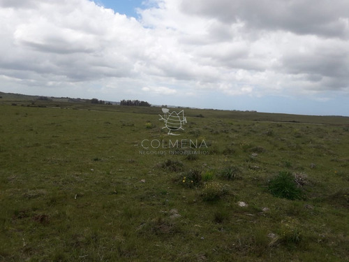 Imagen 9 de 20 de Campo En Paraje Jose Ignacio - Consulte!!!!!! - Jose Ignacio