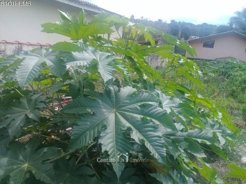 Imagem 4 de 10 de Terreno Nova Gardênia Em Atibaia - 696m² - Te0170-1