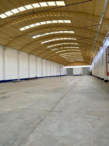 Imagen 10 de 30 de Alquilo Galpón 1800 M2 300 M2 Ofi Y Playa 500 M2 Neuquen