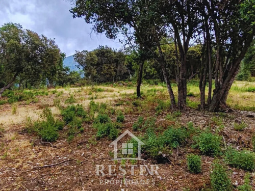 Venta Parcela 5018 M2. Condominio El Belloto Hacienda Paine