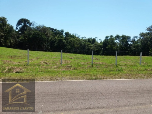 Imagem 1 de 4 de Chácara Com 5.000 M² Em Quatro Barras - Ch00027 - 33606164