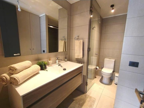 Arriendo Departamento Amoblado Exclusivo Sector Providencia
