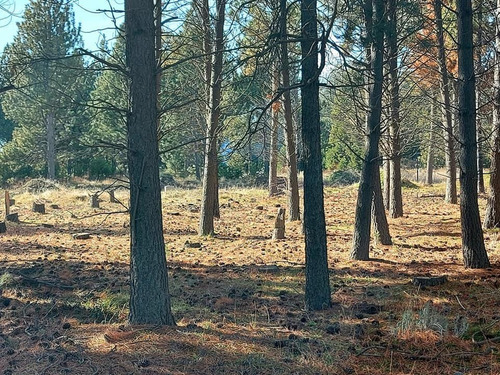 Imagen 5 de 15 de Espectacular Terreno En Barrio Cerrado, 600m2 Con Maravillosas Vistas En El Este De Bariloche