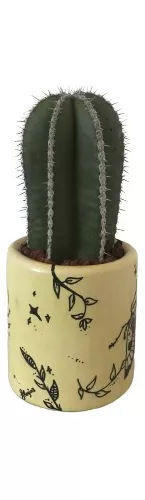 Cactus Decoración Jardín Desértico Agaves Órganos 4 De 60 Cm